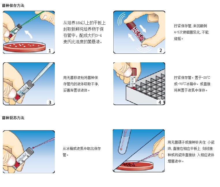 微生物菌種保存